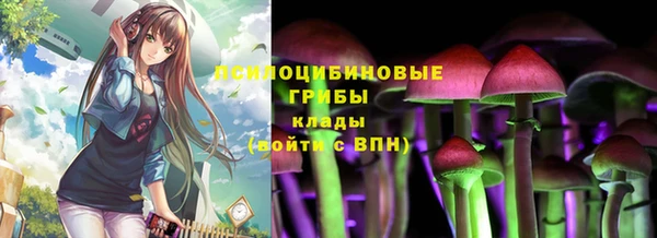соль курить ск Аркадак