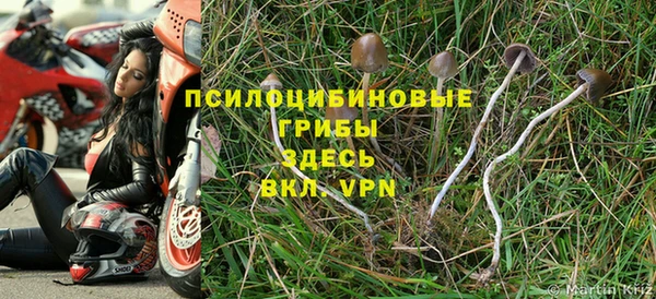 прущий лед Арсеньев