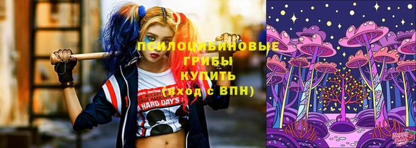 молекула духа Армянск
