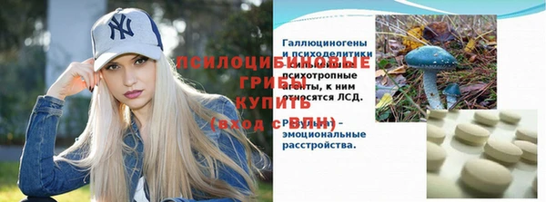 прущий лед Арсеньев