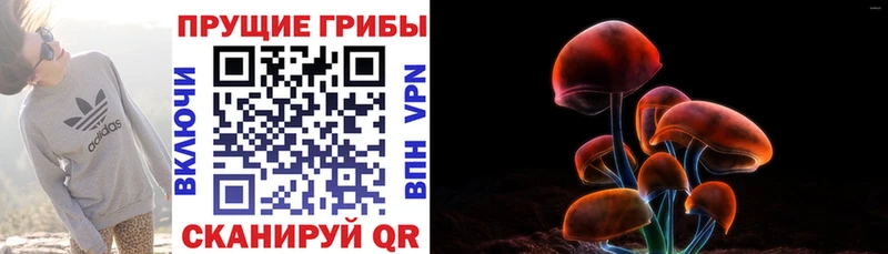 Галлюциногенные грибы прущие грибы  как найти закладки  Сочи 